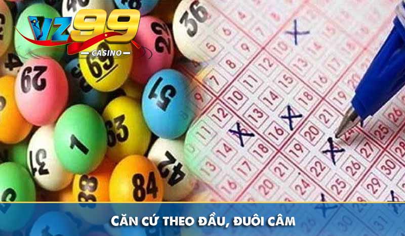 Rồng Bạch Kim là gì và một số phương pháp áp dụng hiệu quả 7 Căn cứ theo đầu, đuôi câm