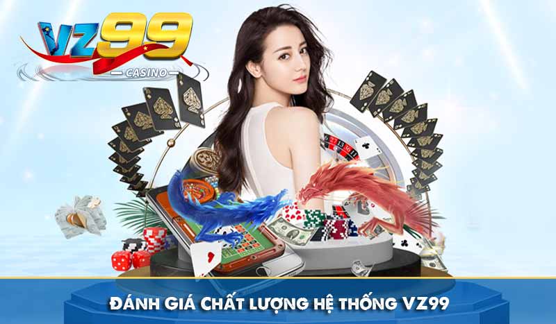 Giới thiệu 13 Đánh Giá Chất lượng hệ thống VZ99