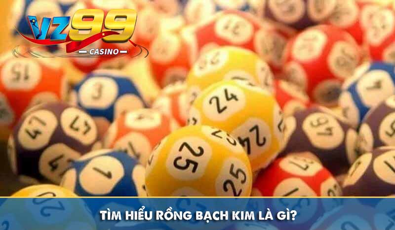 Rồng Bạch Kim là gì và một số phương pháp áp dụng hiệu quả 5 Tìm hiểu Rồng bạch kim là gì?